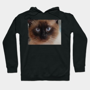 Blue Eyes Hoodie